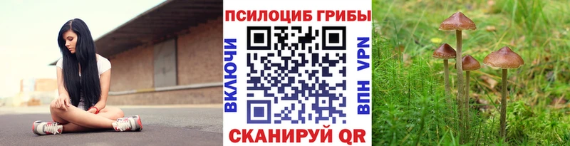 как найти наркотики Глазов Псилоцибиновые грибы Cubensis