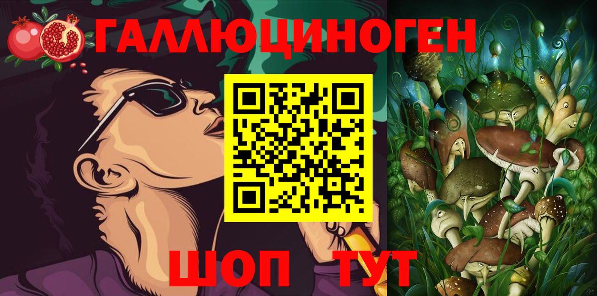 Галлюциногенные грибы Psilocybine cubensis Глазов