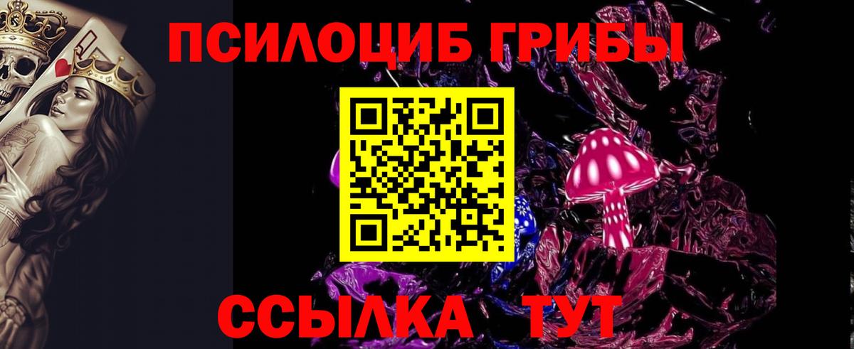 Псилоцибиновые грибы MAGIC MUSHROOMS  Галлюциногенные грибы Cubensis  Глазов  Вход с VPN 